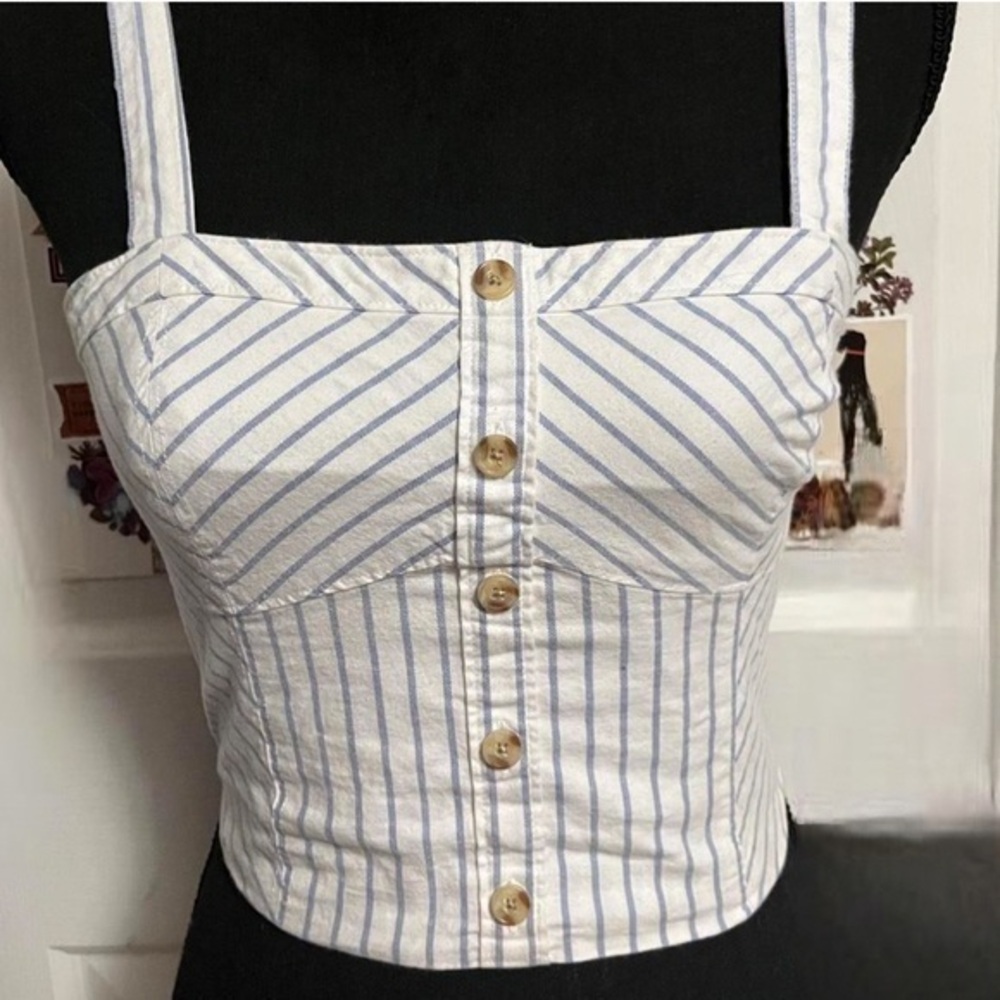 Abercrombie & Fitch Blue and White Striped Crop Top